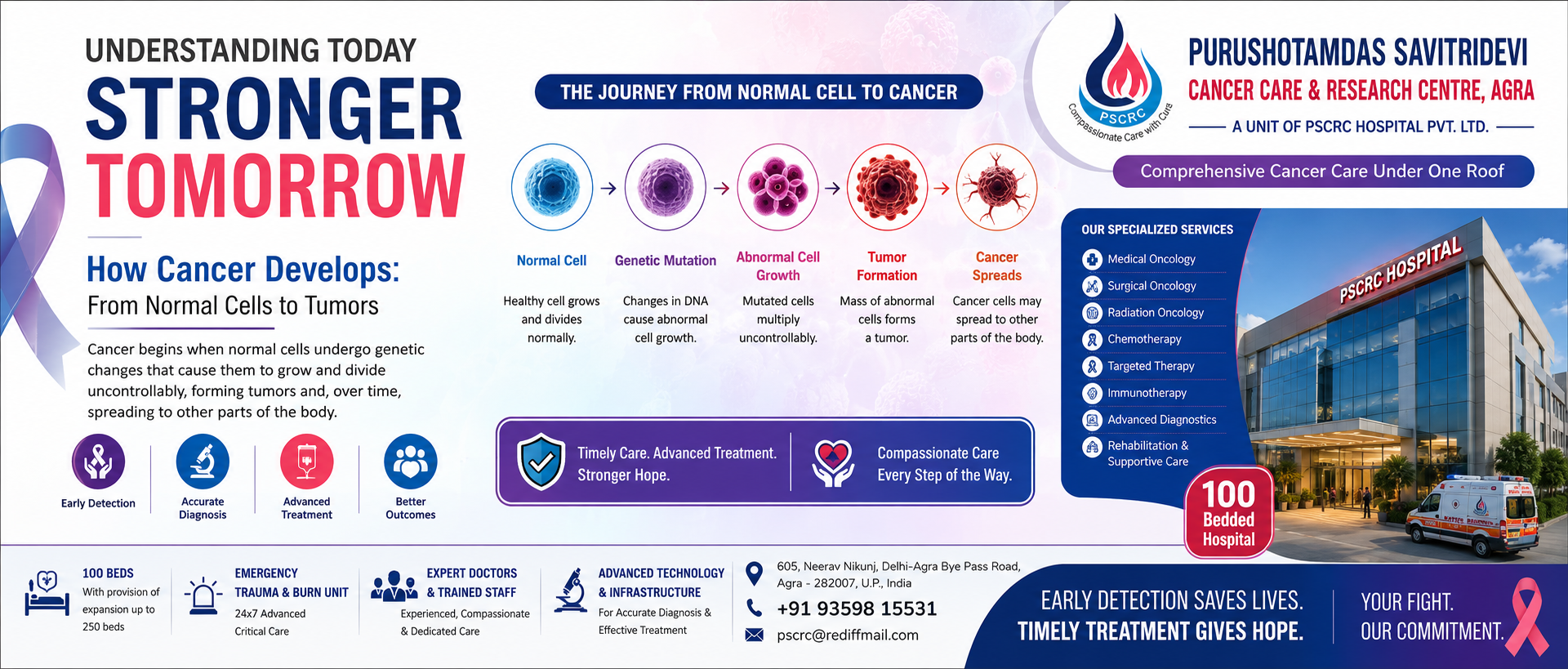 How Cancer Develops: From Normal Cells to Tumors