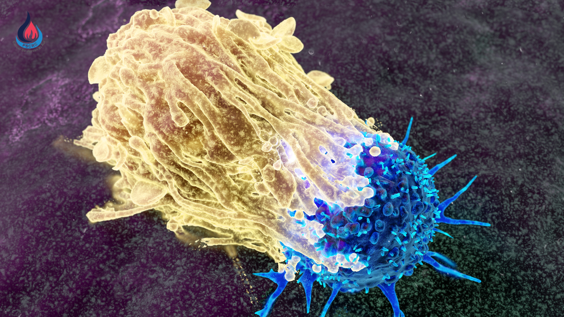 Identify Cancer Early: A Guide to the Right Cancer Care